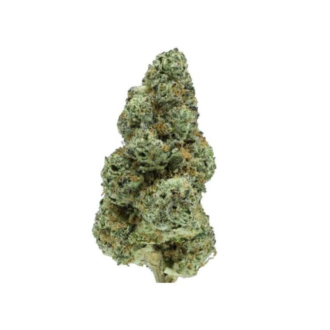 Mule Fuel